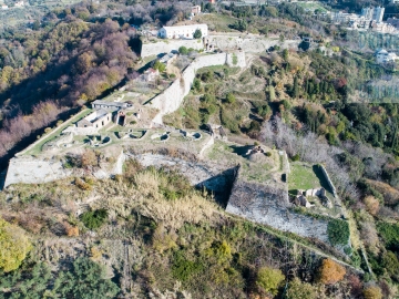 Forte Tenaglia